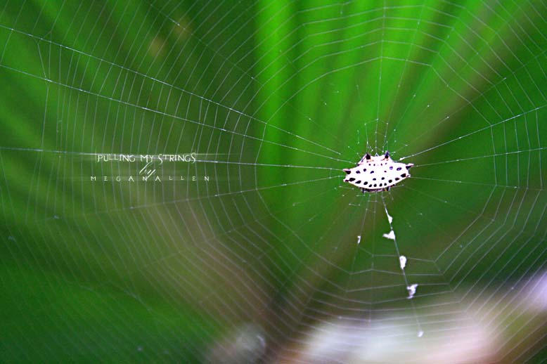 +Pulling My Strings+ by MeganAllen on DeviantArt