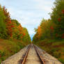 +Road Through Seasons+