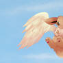 Flying Eevee