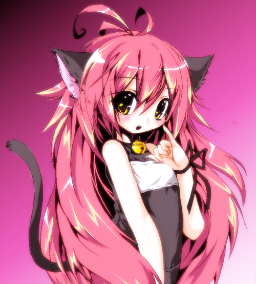 Neko Neko