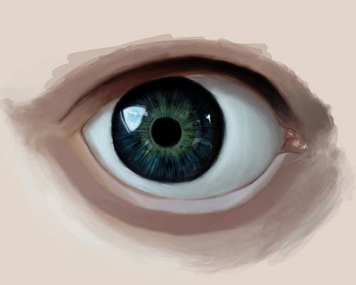 no. realistic eye