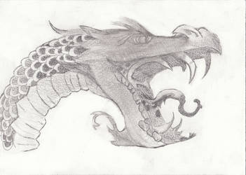 Dragon of fury