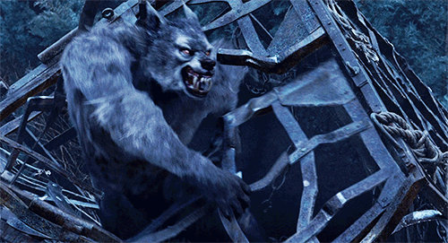 Wherewolf Animation Werewolf animation by papkapapka on DeviantArt