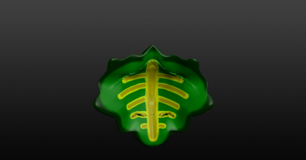 Turtle Shell 2 by godzilla1990 on DeviantArt