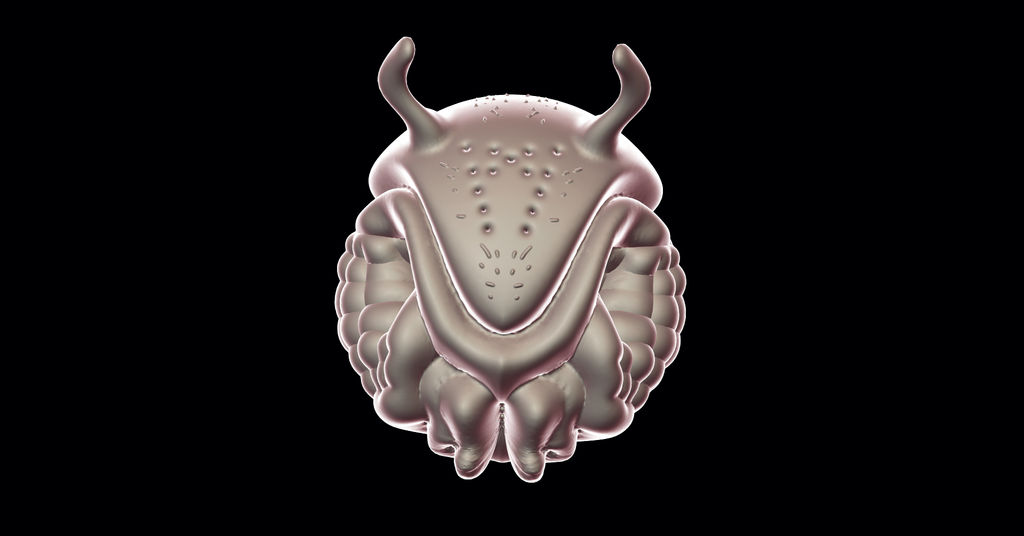 Bug Head Texture Bug Head by godzilla1990 on DeviantArt