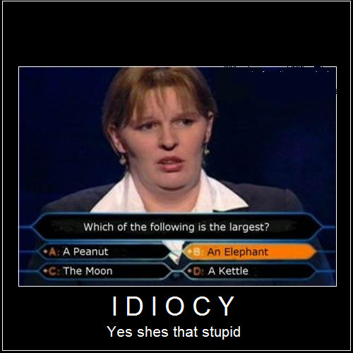 Idiocy - Yes shes That Stupid