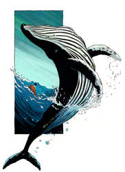 Whale