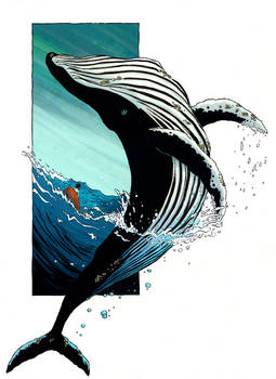 Whale