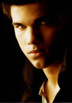 Taylor Lautner in the Shadows