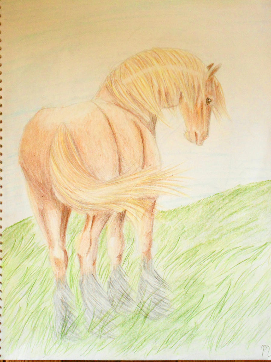 Cob Horse