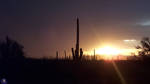 Tucson Sunset by CybOrSpasm