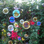 bubbles in my garden