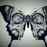 Butterfly of Death