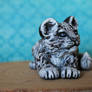 Snow leopard kitten