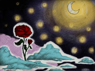 roses and a moonlight night