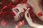 Rose Redd III by Amanda-Diaz