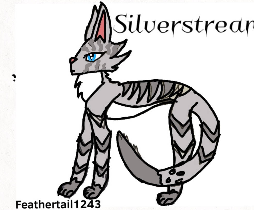 Warrior Cats Silverstream by Feathertail1243 on DeviantArt