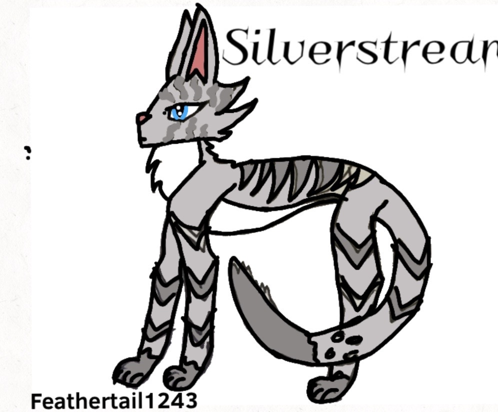 Warrior Cats Silverstream by Feathertail1243 on DeviantArt