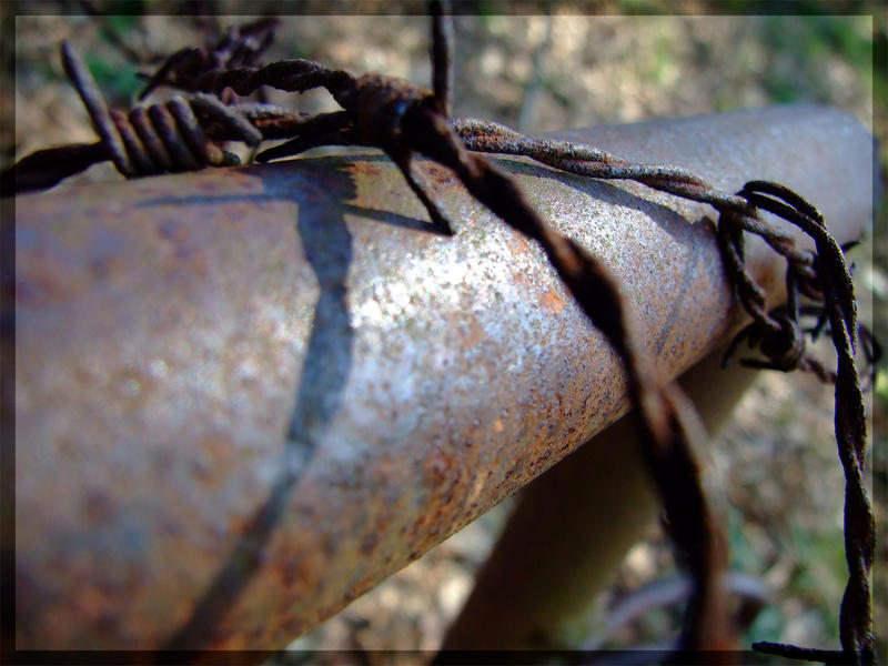 Rusty fence