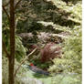 Butchart Garden