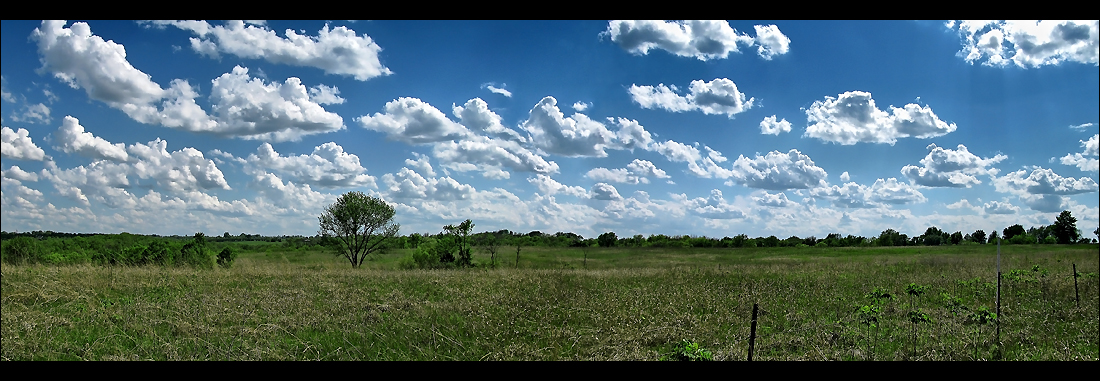 The Plains