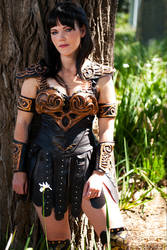 The Warrior Princess by queencattabby