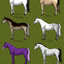 Horse colors part1