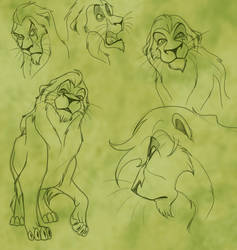 Scar's expressions