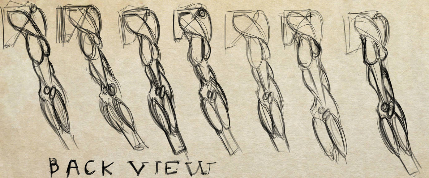 Arm Back View by captainfrakas on DeviantArt