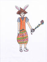 Sora's Easter Form