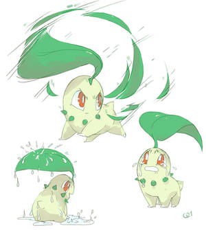 [Day 26] Chikorita