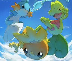 Hoenn's starters