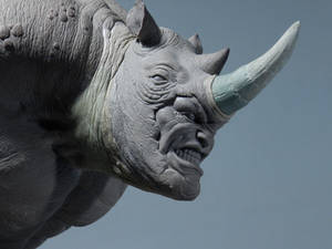 Rhino Sculpture 5