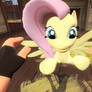 fluttershy hug