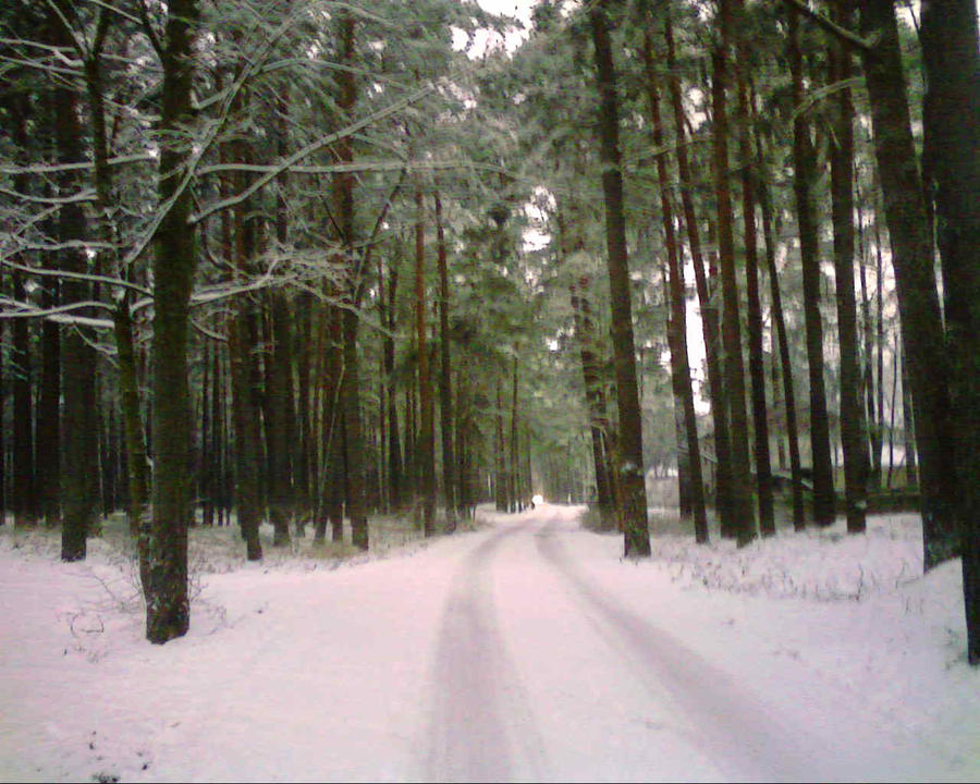 Snowy Road