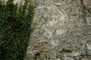 Vine Walls