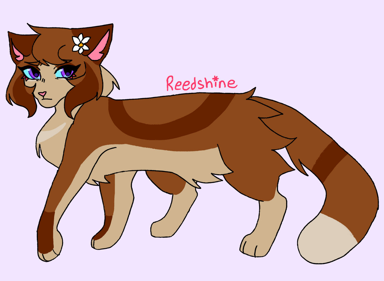 Deviantart Reedster Reedshine design by V4MPQUEEN on DeviantArt