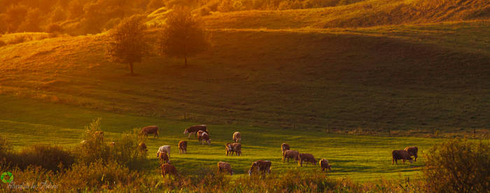 Transylvania Landscape 2