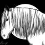 Horse illustration #2