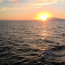 Dolphin and sunset at the Gulf of California