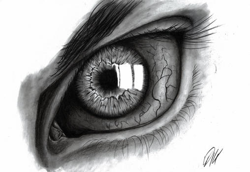 Charcoal Eye Study