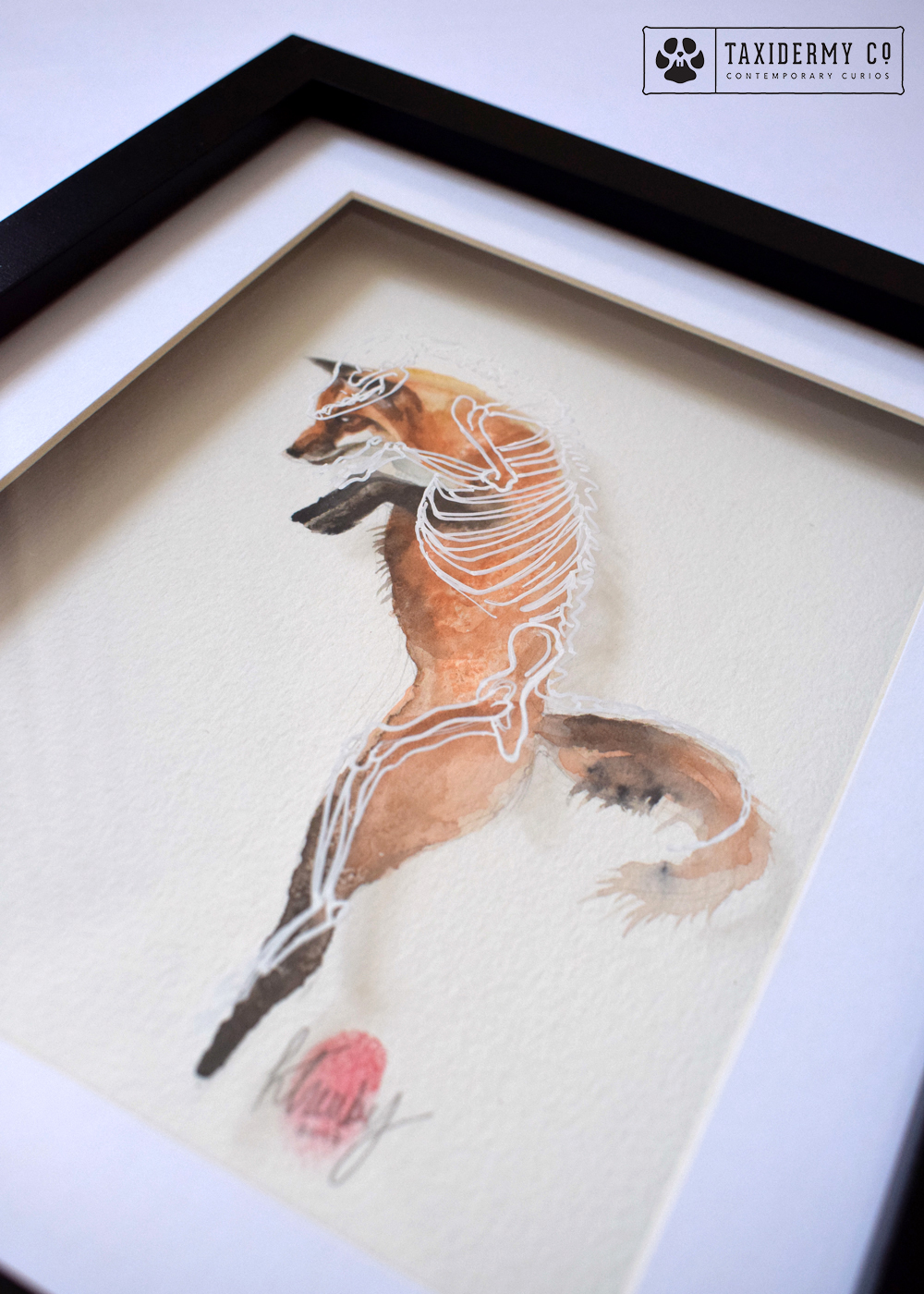 'Anatomy Of A Fox' Skeletonised Original Artwork