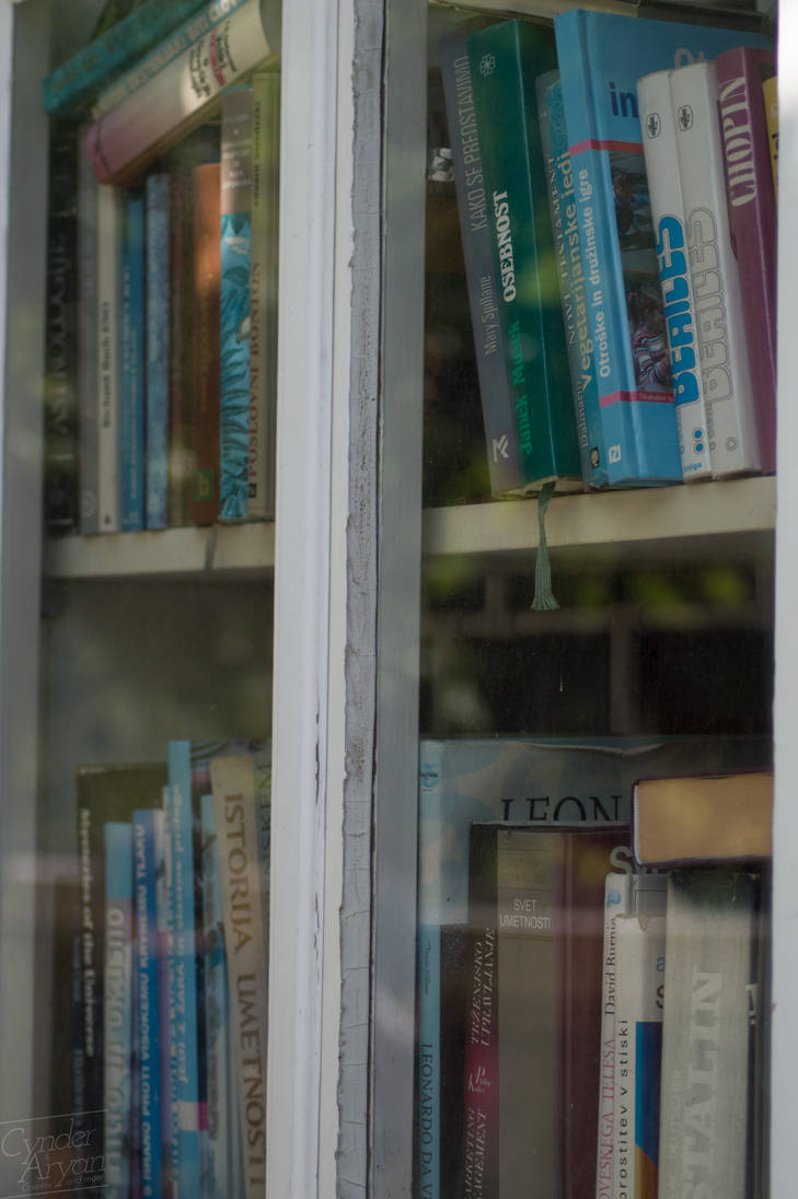 Borrow a book by CynderAryan on DeviantArt