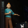 Les aventures de Tintin