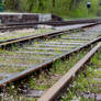 Rails and small flowers