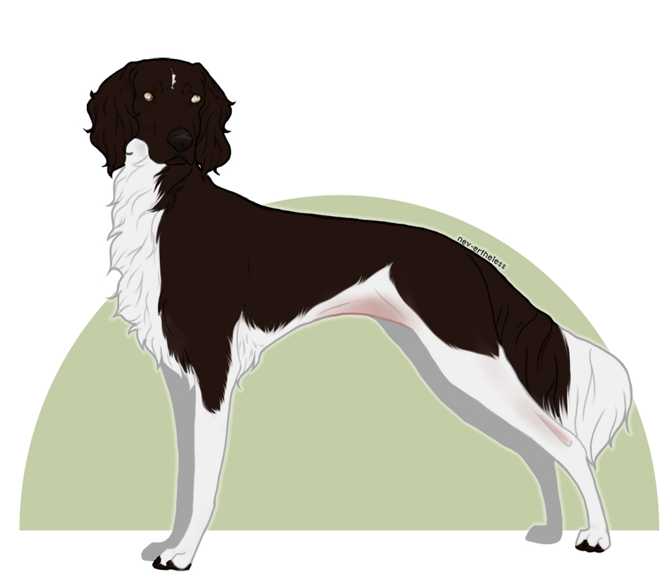 Strutae Striate Muddy Buddy RATN by striatekennel on DeviantArt