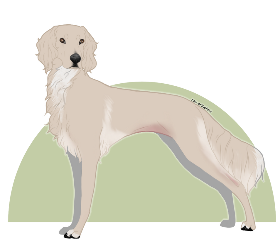Strutae Striate Seafoam Surprise by striatekennel on DeviantArt