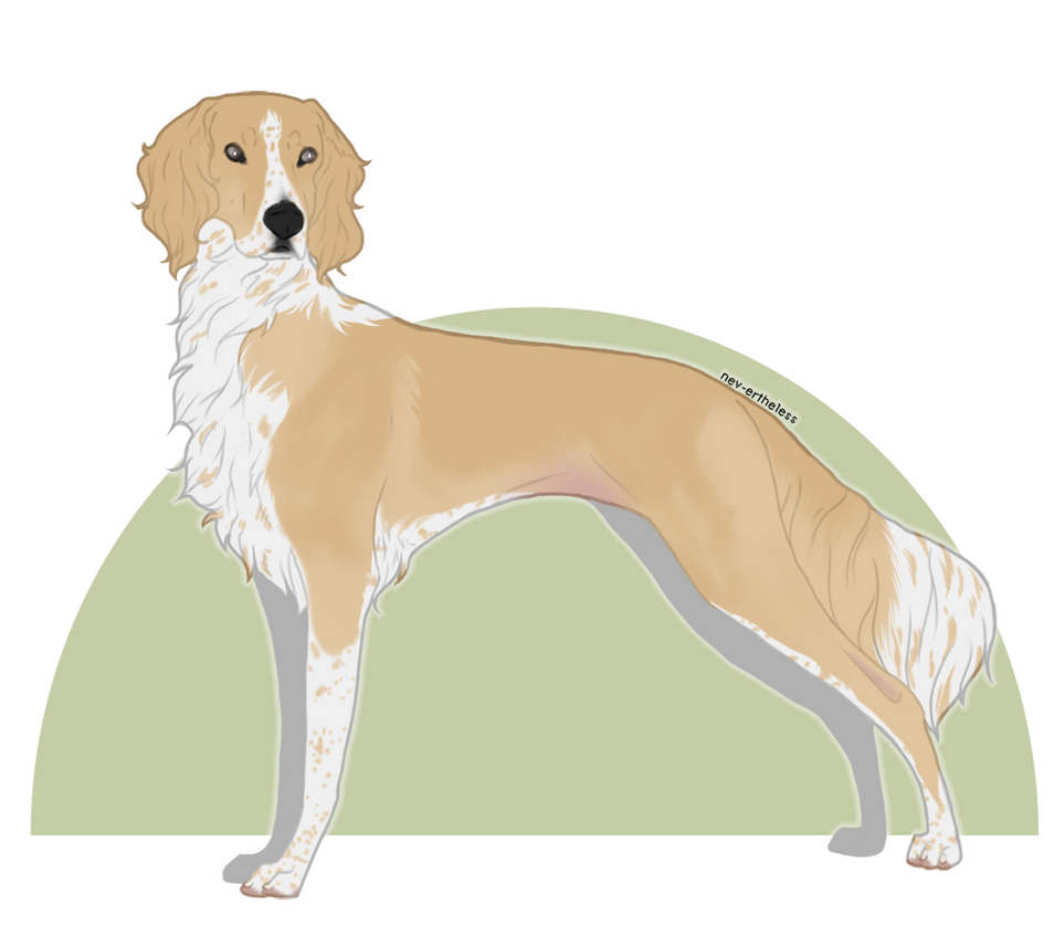 Strutae Striate Sweet Sights DJ NFD by striatekennel on DeviantArt