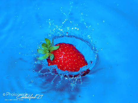 Yummy Splash