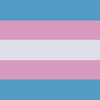 trans flag